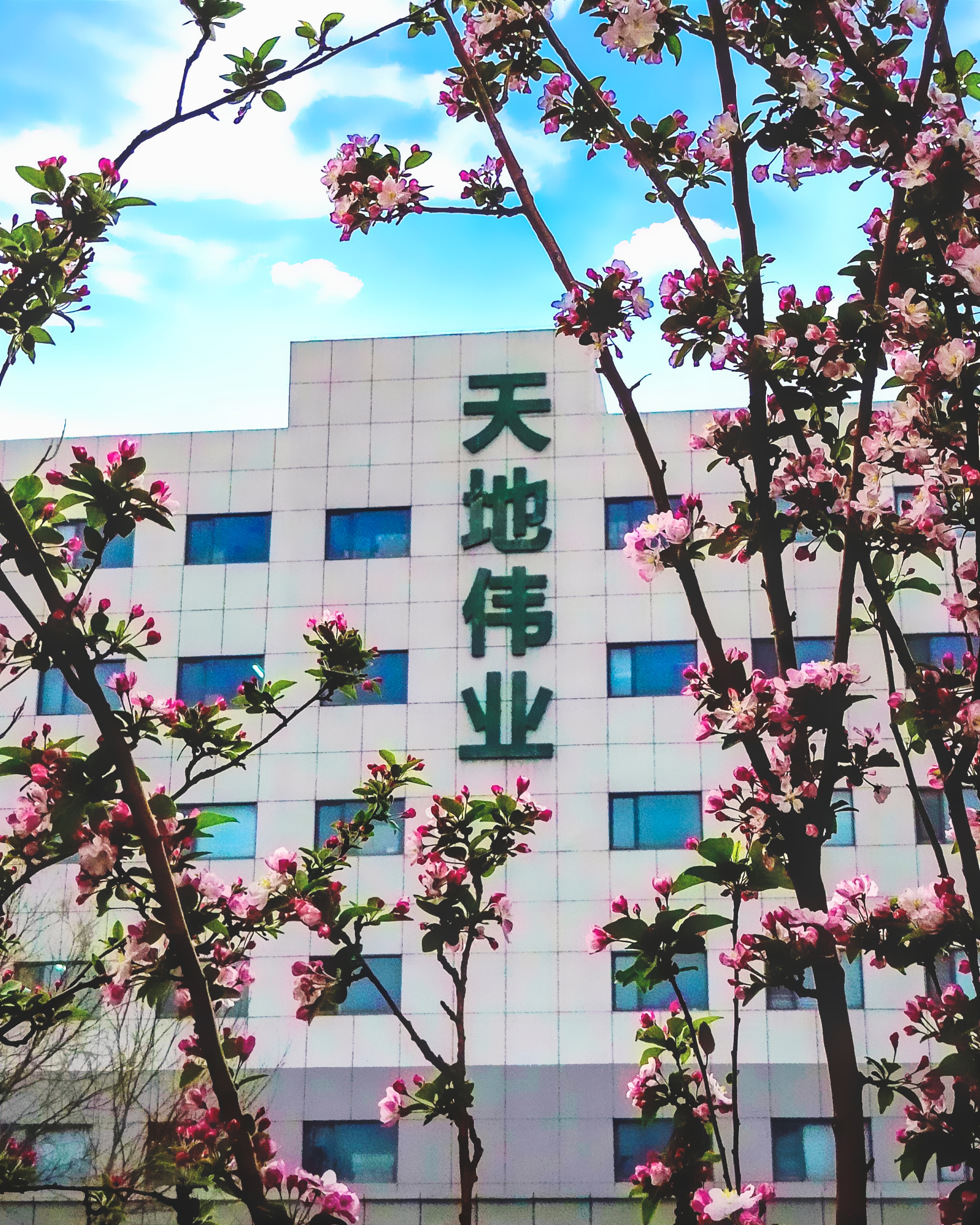 s36沙龙会 - 要玩就玩沙龙会