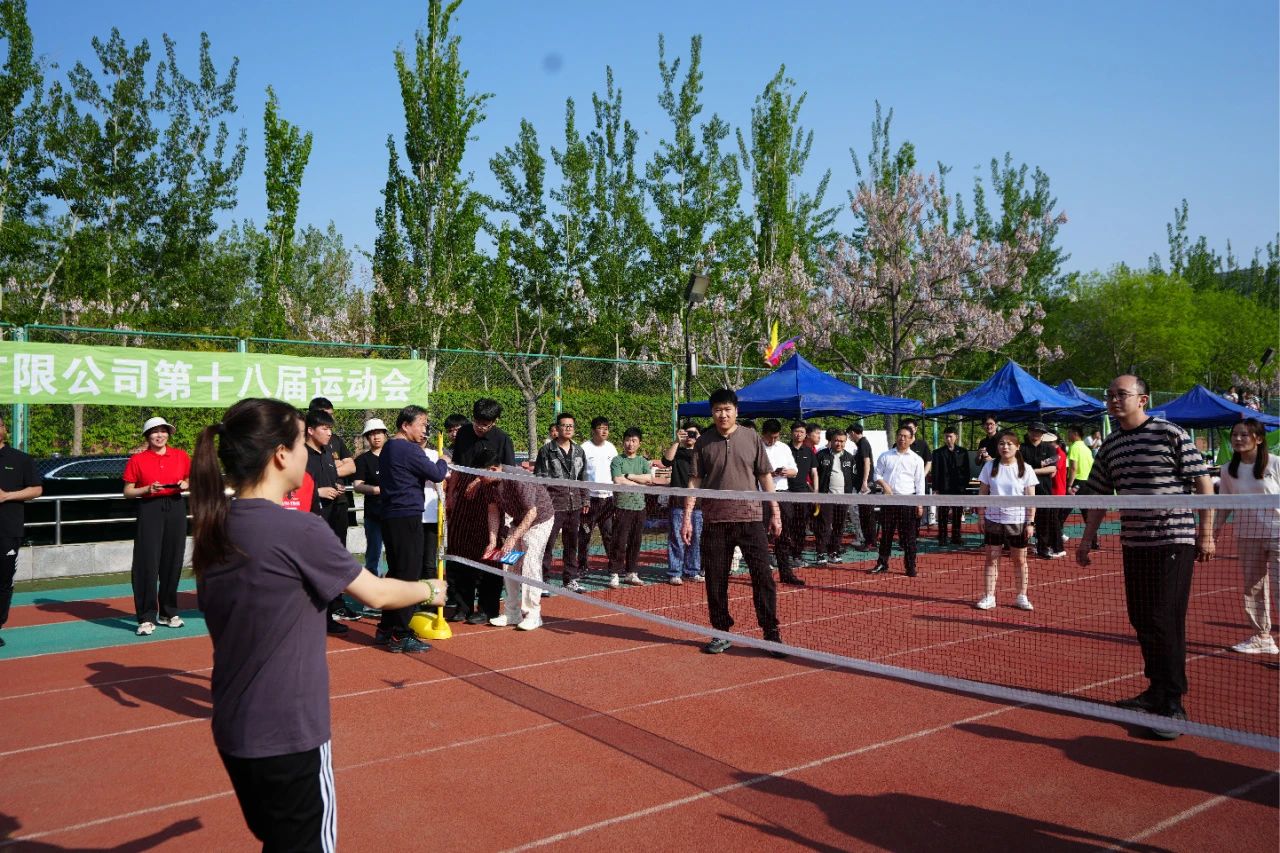 s36沙龙会 - 要玩就玩沙龙会