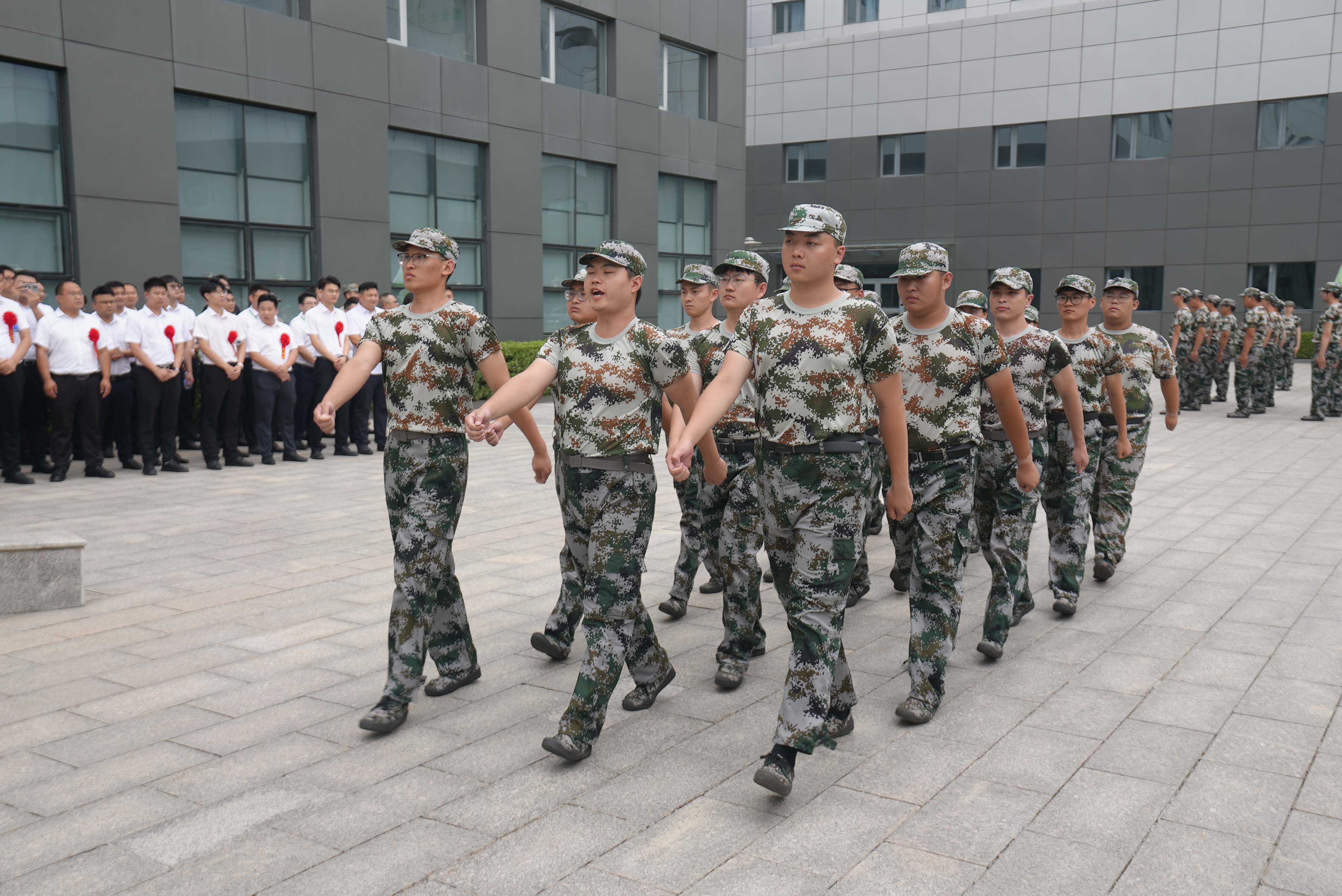 s36沙龙会 - 要玩就玩沙龙会