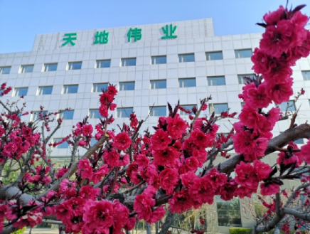 s36沙龙会 - 要玩就玩沙龙会