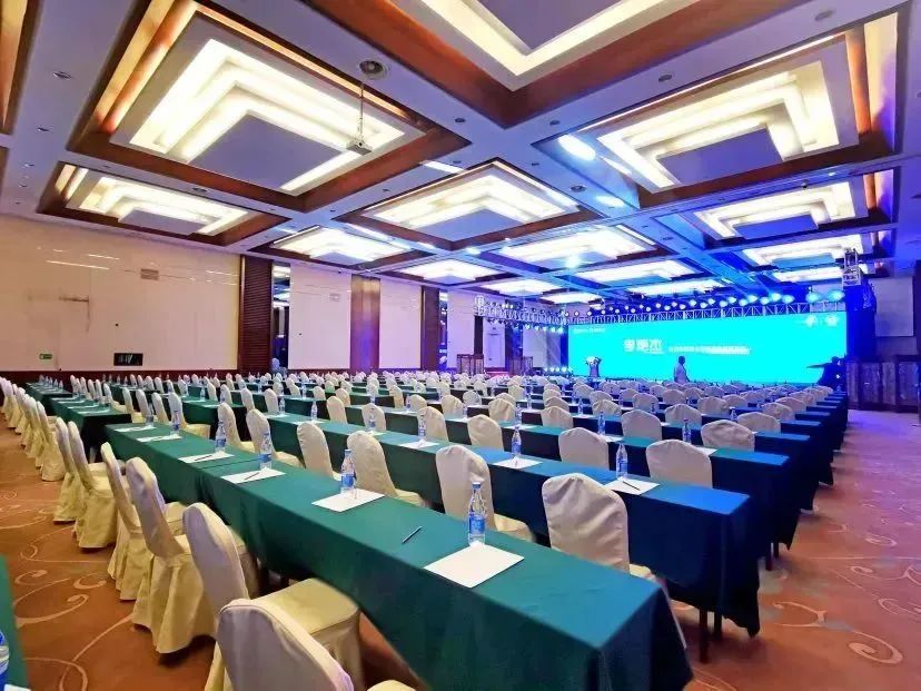 s36沙龙会 - 要玩就玩沙龙会